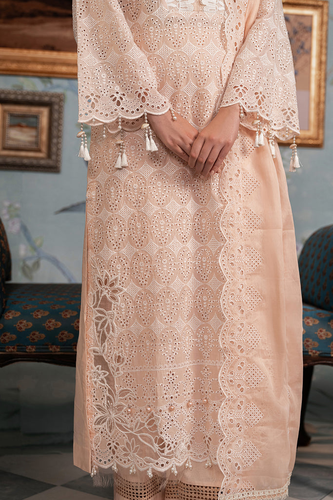 Rajbari | Chikankari Edition 24 | RJB-03