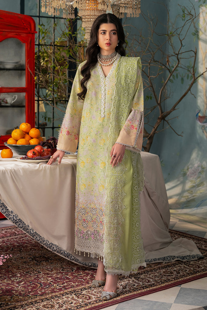 Rajbari | Chikankari Edition 24 | RJB-07