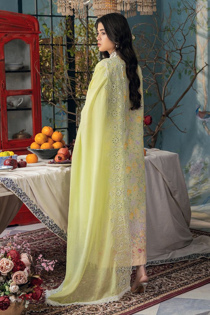 Rajbari | Chikankari Edition 24 | RJB-07