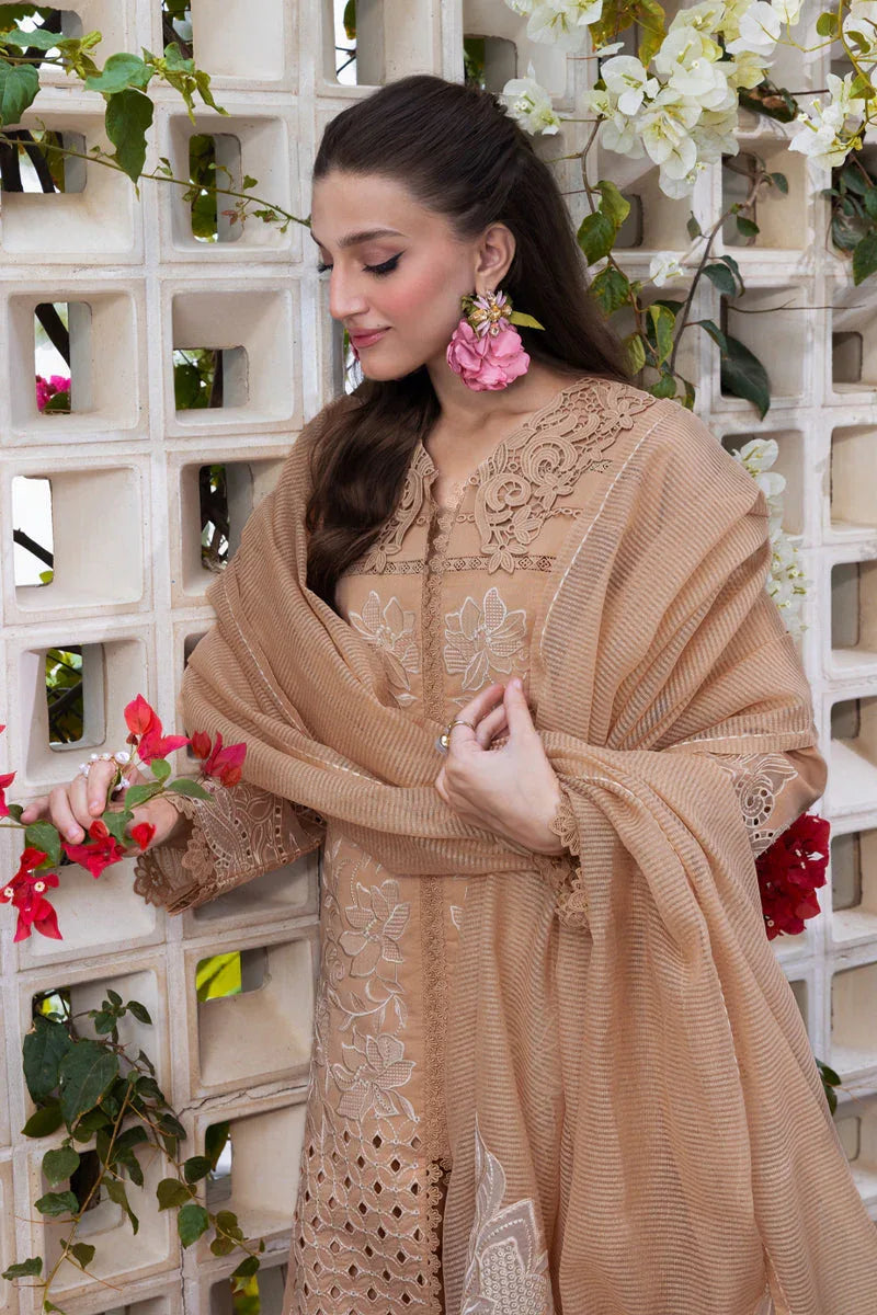 Rangrasiya | Carnation Luxury Festive Edit 25 | Kaia - Rang-e-Khaas
