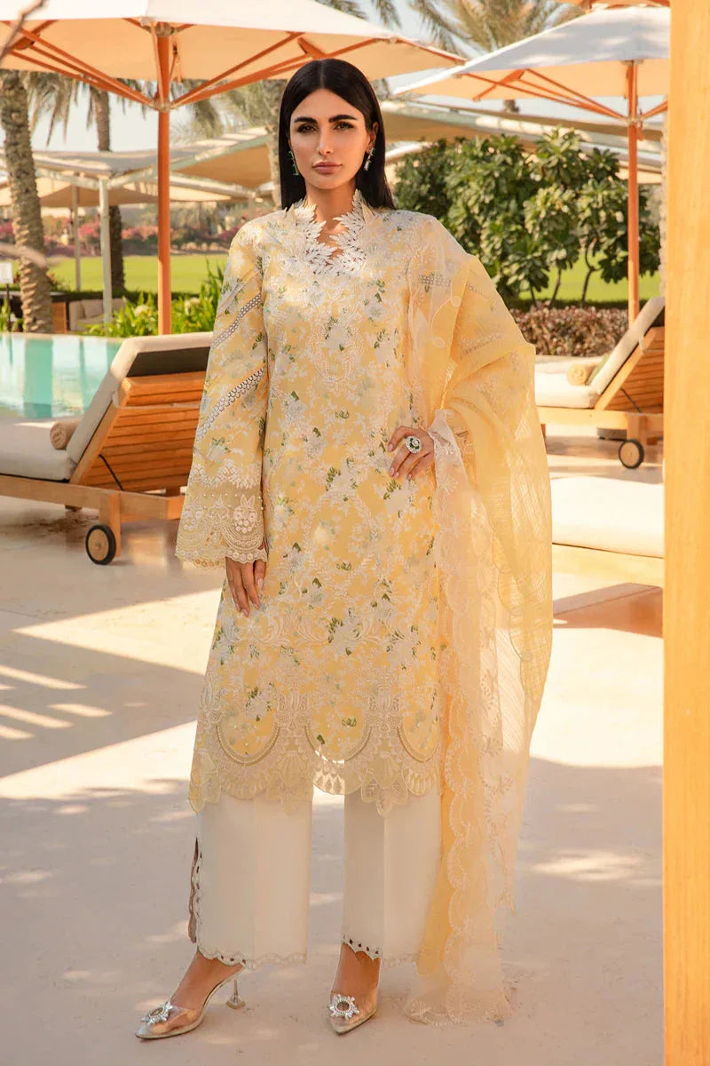Rangrasiya | Carnation Summer 24 | Ariana - Rang-e-Khaas