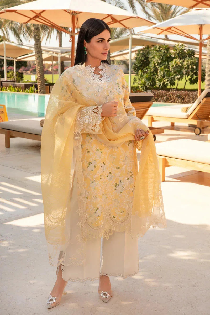 Rangrasiya | Carnation Summer 24 | Ariana - Rang-e-Khaas