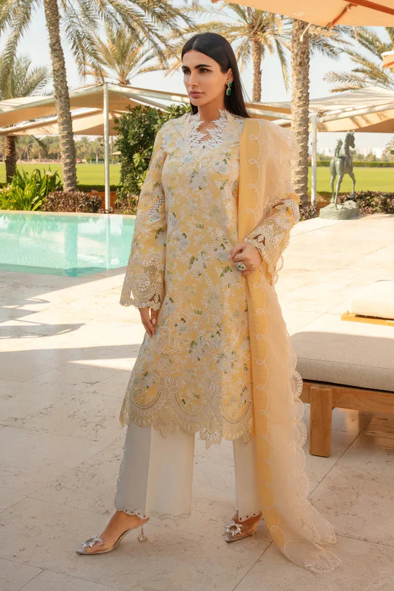 Rangrasiya | Carnation Summer 24 | Ariana - Rang-e-Khaas