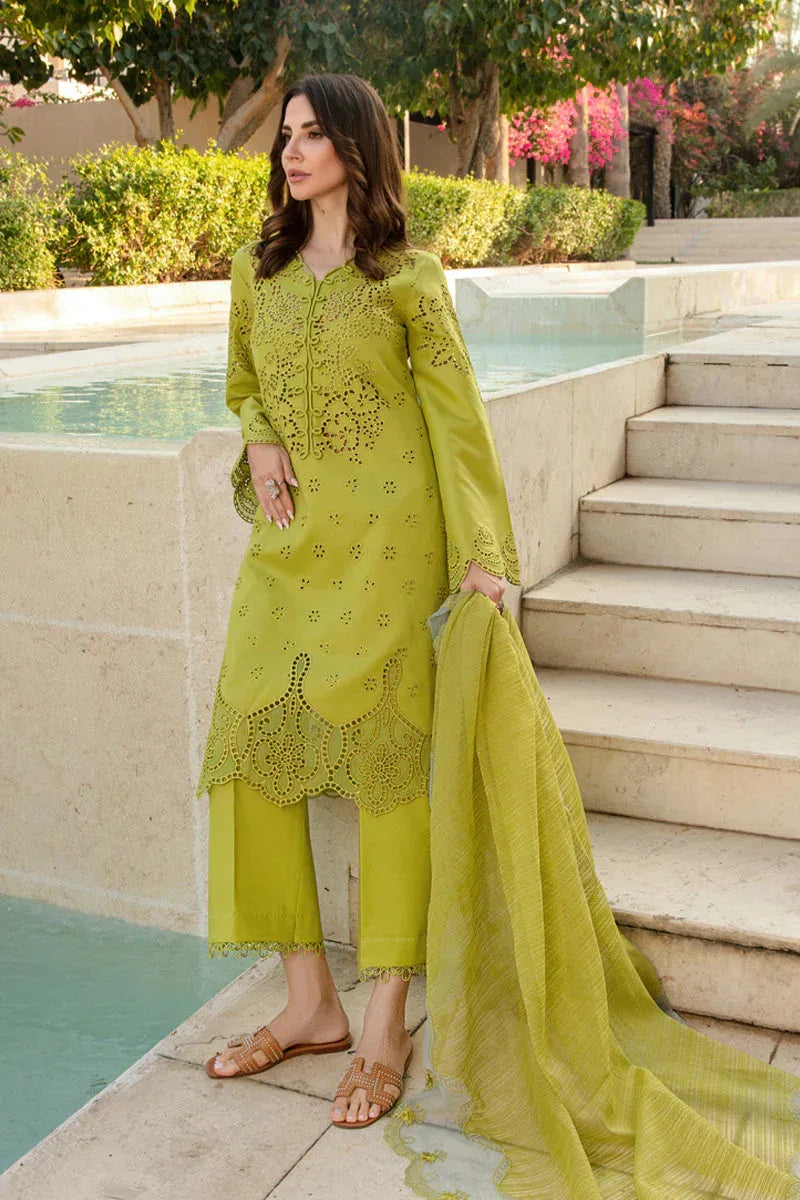 Rangrasiya | Carnation Summer 24 | FAREESIA - Rang-e-Khaas