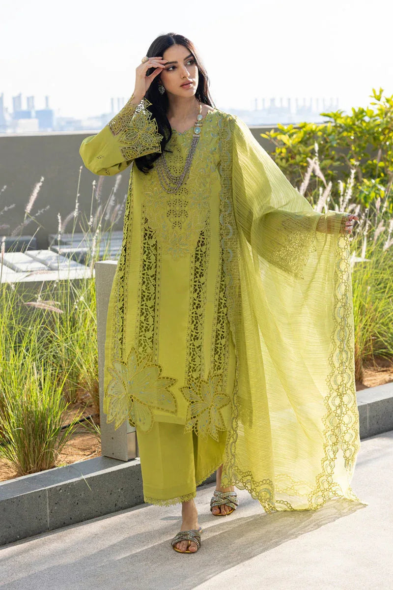 Rangrasiya | Carnation Summer Edit 25 | Aaleen - Rang-e-Khaas