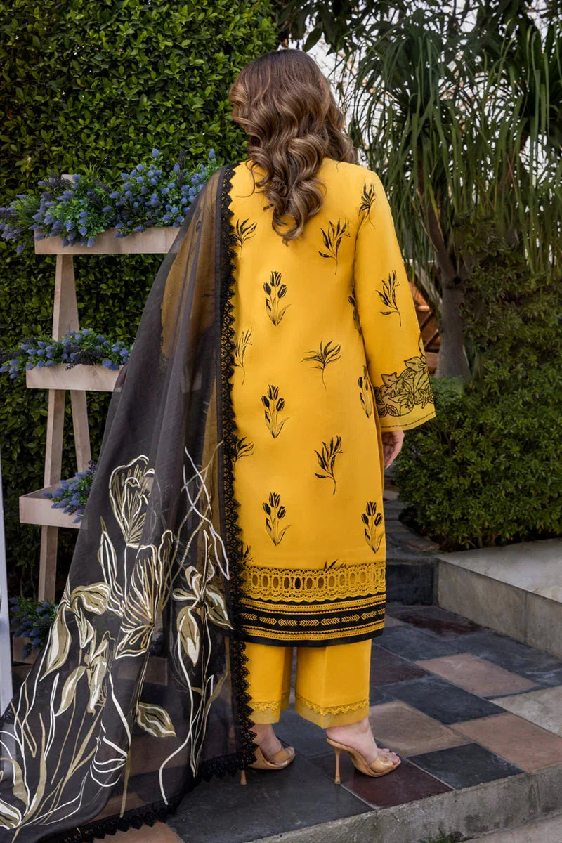 Rangrasiya | Florence Summer Edit 25 | Mirha - Rang-e-Khaas