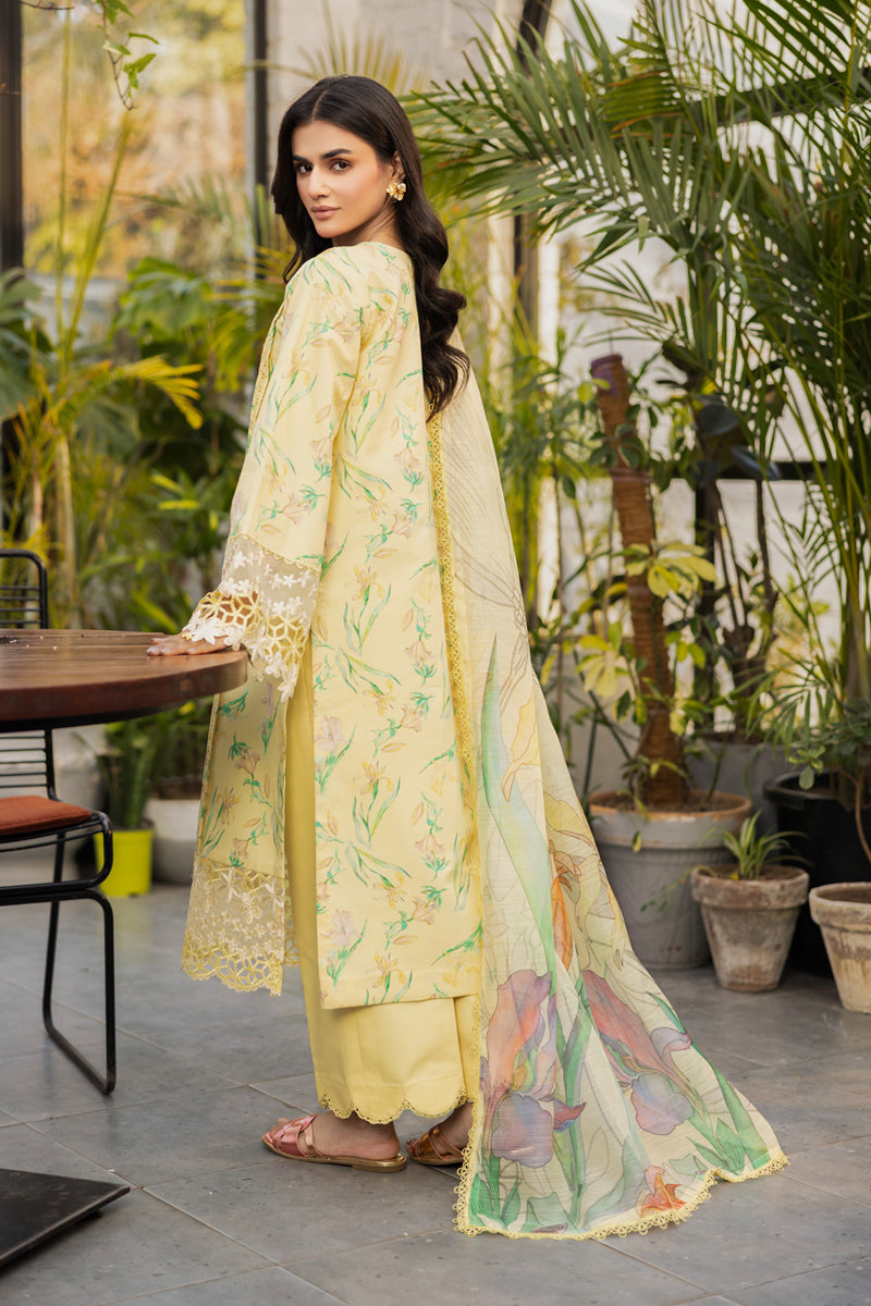 Rangrasiya | Lifestyle Summer Edit 25 | Olivine - Rang-e-Khaas