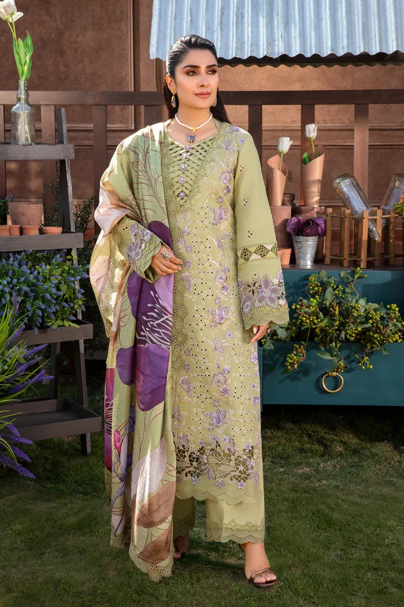 Rangrasiya | Premium Collection 24 | AYSEL - Rang-e-Khaas