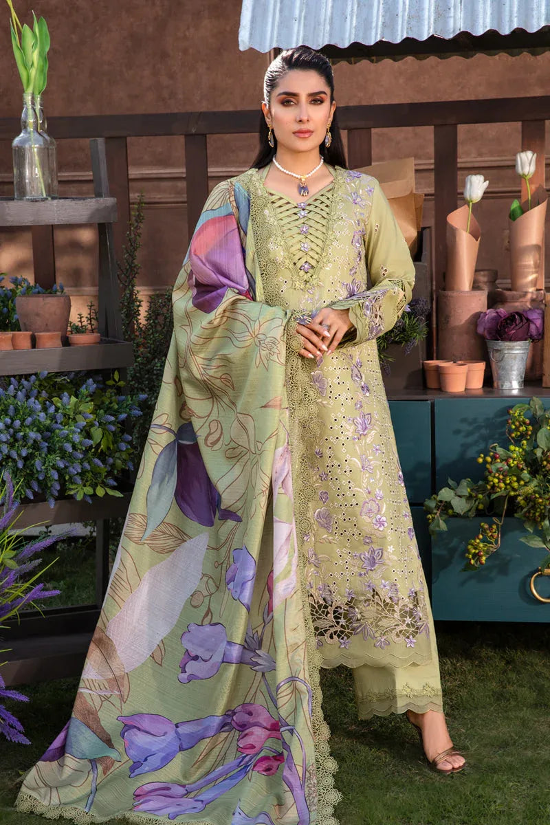 Rangrasiya | Premium Collection 24 | AYSEL - Rang-e-Khaas