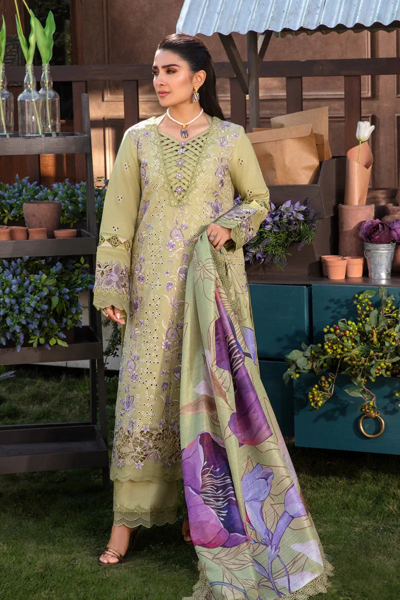Rangrasiya | Premium Collection 24 | AYSEL - Rang-e-Khaas