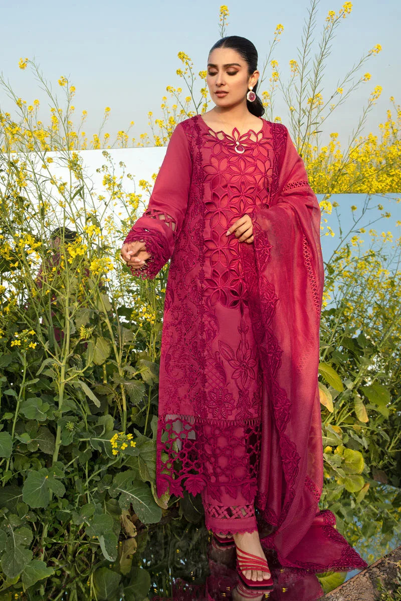 Rangrasiya | Premium Collection 24 | MAYA - Rang-e-Khaas