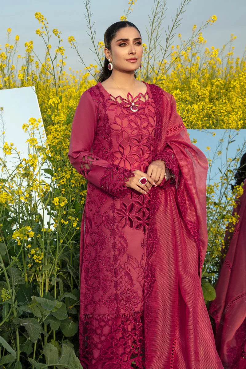 Rangrasiya | Premium Collection 24 | MAYA - Rang-e-Khaas