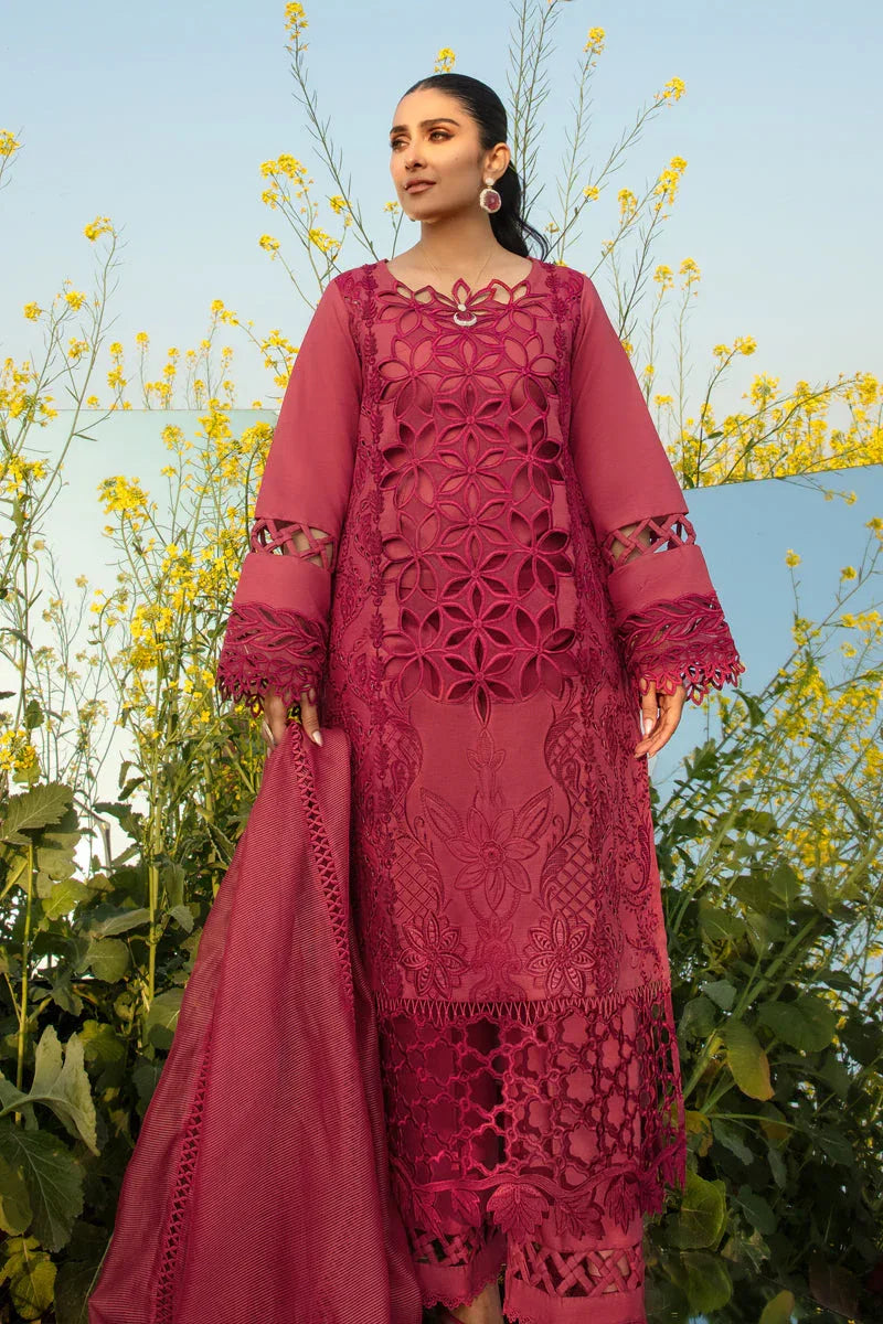 Rangrasiya | Premium Collection 24 | MAYA - Rang-e-Khaas