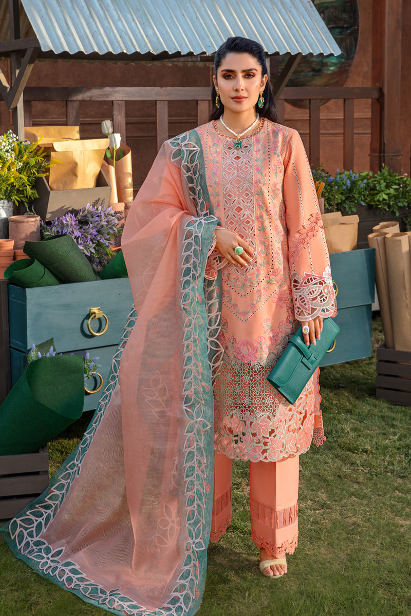 Rangrasiya | Premium Collection 24 | RANIA - Rang-e-Khaas