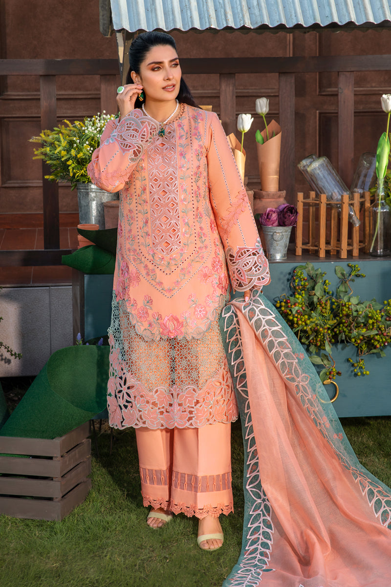 Rangrasiya | Premium Collection 24 | RANIA - Rang-e-Khaas