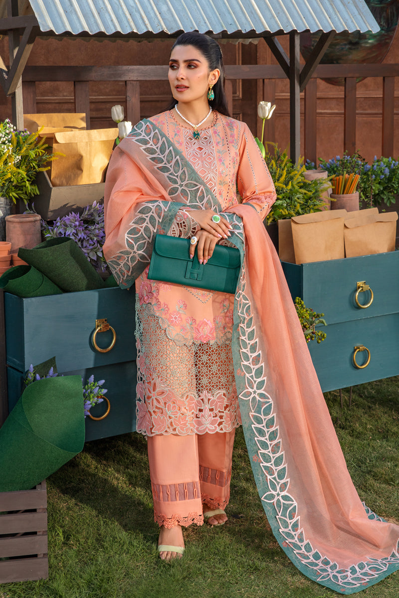 Rangrasiya | Premium Collection 24 | RANIA - Rang-e-Khaas
