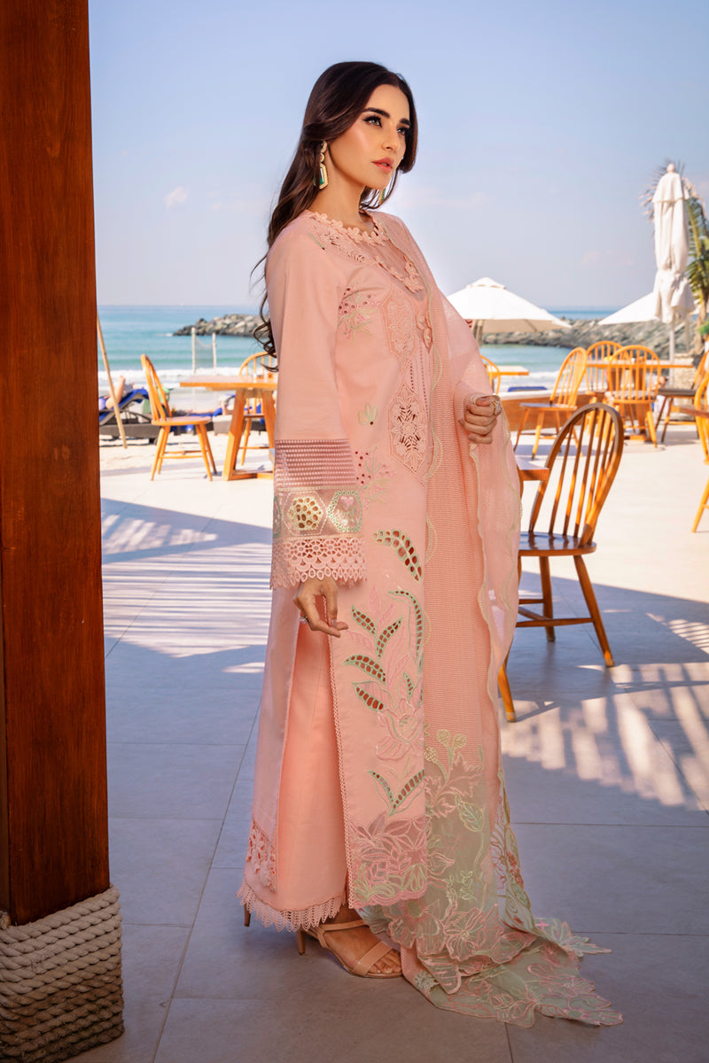 Rangrasiya | Premium Summer Lawn 25 | Bareeha - Rang-e-Khaas