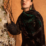 Rangrasiya | Premium Winter Edit 24 |  Espresso