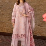 Rangrasiya | Carnation Summer 24 | Zinnia