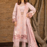 Rangrasiya | Carnation Summer 24 | Zinnia