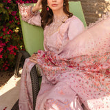Rangrasiya | Carnation Summer 24 | Zinnia
