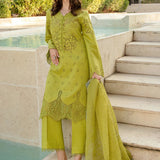 Rangrasiya | Carnation Summer 24 | FAREESIA