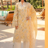 Rangrasiya | Carnation Summer 24 | Ariana