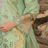 Rangrasiya | Premium Lawn 24 | Elnaz