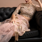 Imrozia Premium | Lumiere Luxury Sarees | 01 Rose Clair