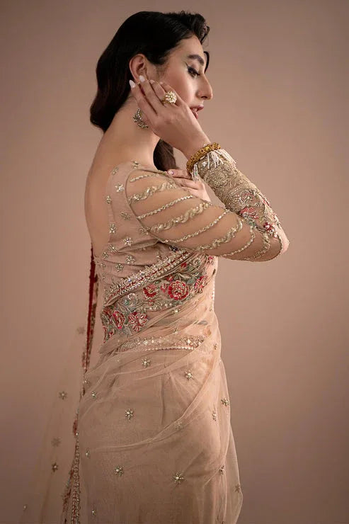 Imrozia Premium | Lumiere Luxury Sarees | 05 Celeste - Rang-e-Khaas