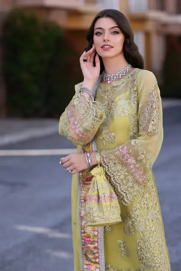 Noor by Saadia Asad | Chiffon Formals 23 | D4-Minali - Rang-e-Khaas
