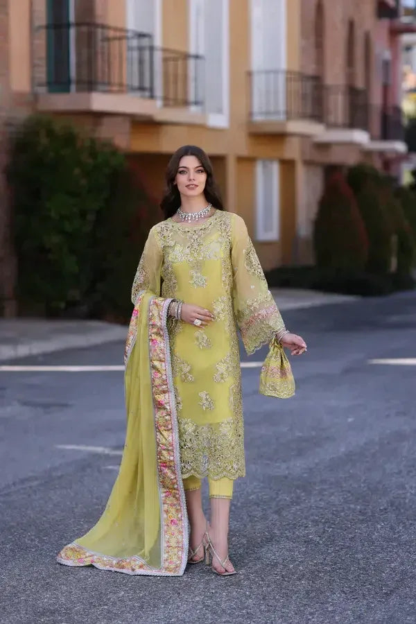Noor by Saadia Asad | Chiffon Formals 23 | D4-Minali - Rang-e-Khaas