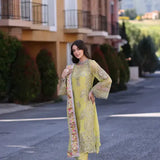 Noor by Saadia Asad | Chiffon Formals 23 | D4-Minali