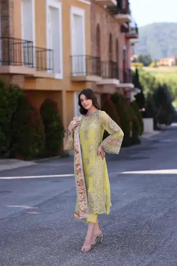 Noor by Saadia Asad | Chiffon Formals 23 | D4-Minali - Rang-e-Khaas