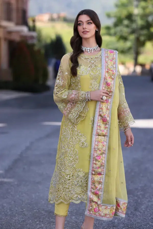 Noor by Saadia Asad | Chiffon Formals 23 | D4-Minali - Rang-e-Khaas