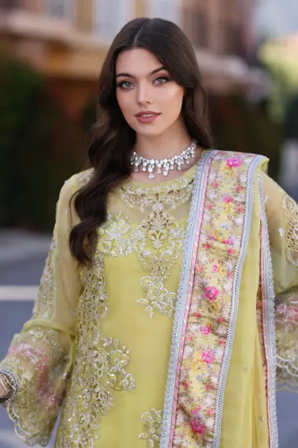 Noor by Saadia Asad | Chiffon Formals 23 | D4-Minali - Rang-e-Khaas