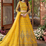 Akbar Aslam Mastani Embroidered Net 3Pc Suit - SHEHERNAZ