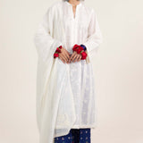 Zara Shahjahan | Stitched Lawn 24 | SL-DEENA-12B