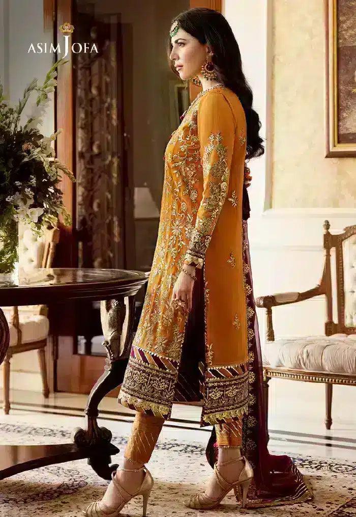 Asim Jofa | Zari Sitara Collection 2023 | AJZS-30 - Rang-e-Khaas