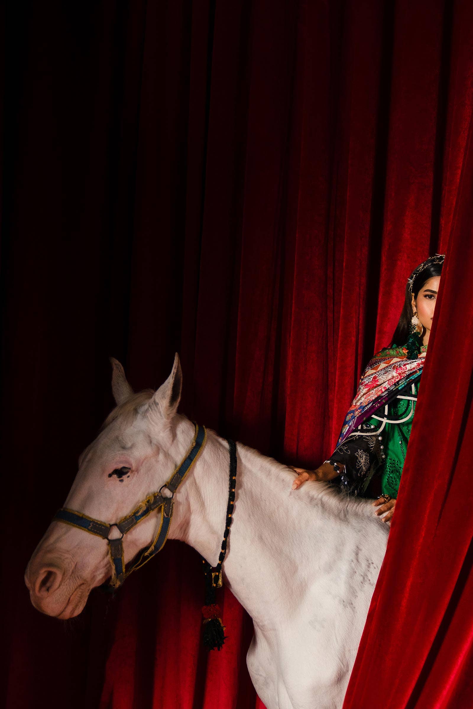 Sana Safinaz | Luxury Collection 24 | L241-001B-3CL - Rang-e-Khaas