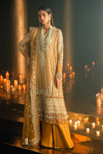 Sana Safinaz | Luxury Collection 24 | L241-002B-3CT - Rang-e-Khaas
