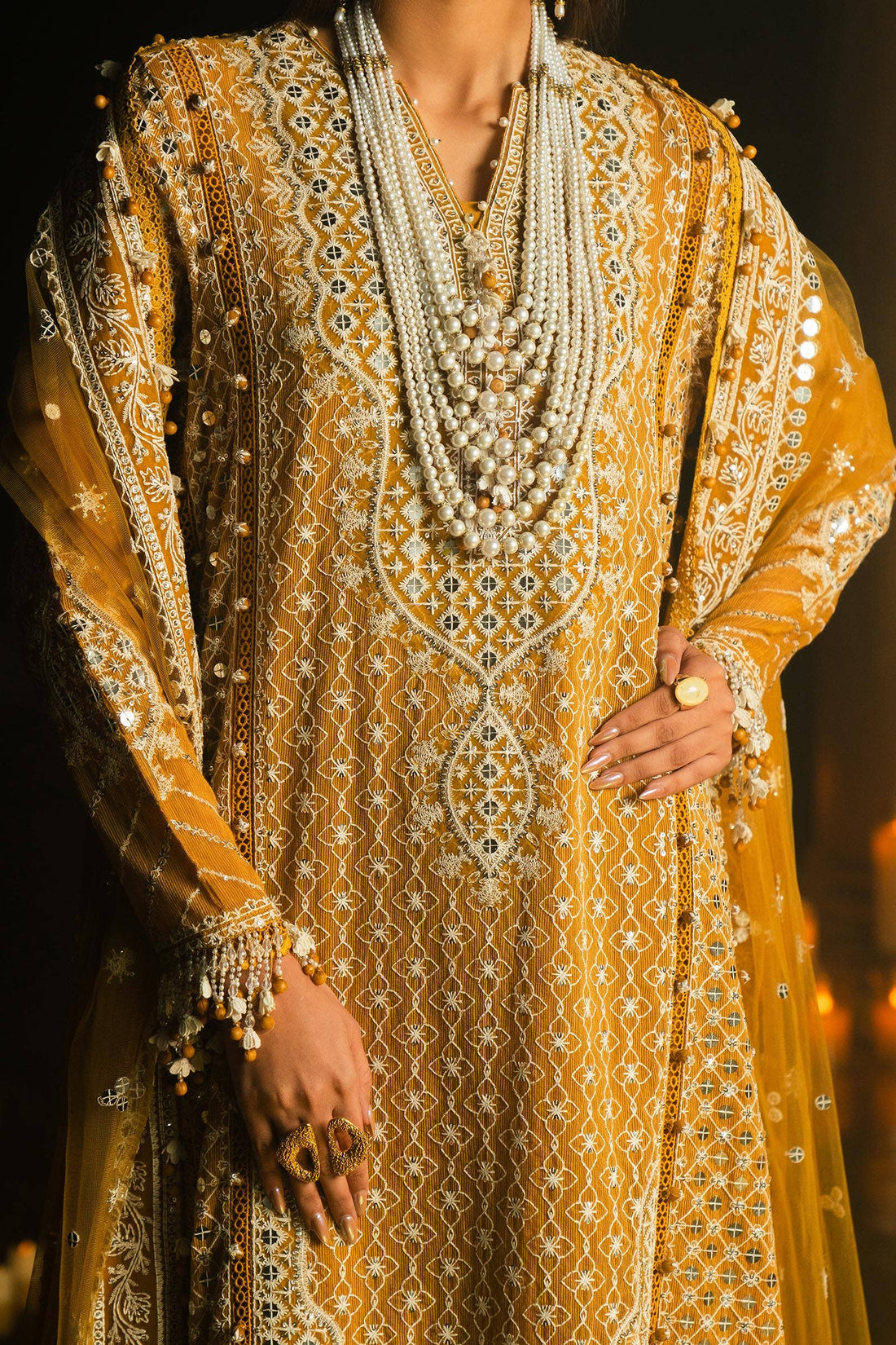 Sana Safinaz | Luxury Collection 24 | L241-002B-3CT - Rang-e-Khaas