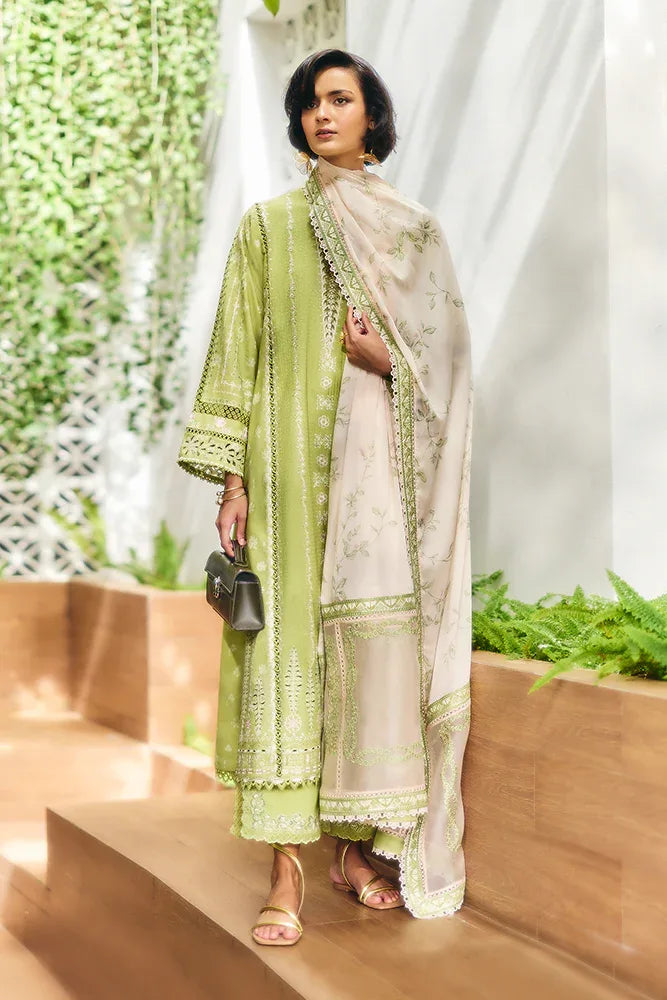 Suffuse | Casual Pret Fall 24 |  HESSA - Rang-e-Khaas