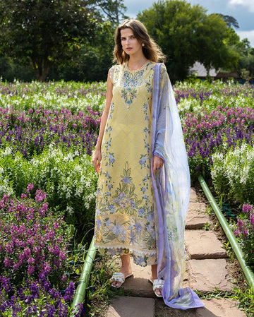 Sunlit Meadow - Rang-e-Khaas