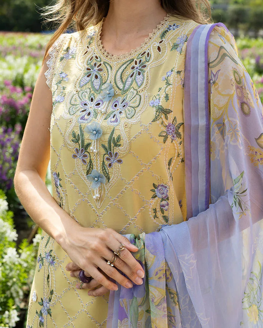 Sunlit Meadow - Rang-e-Khaas