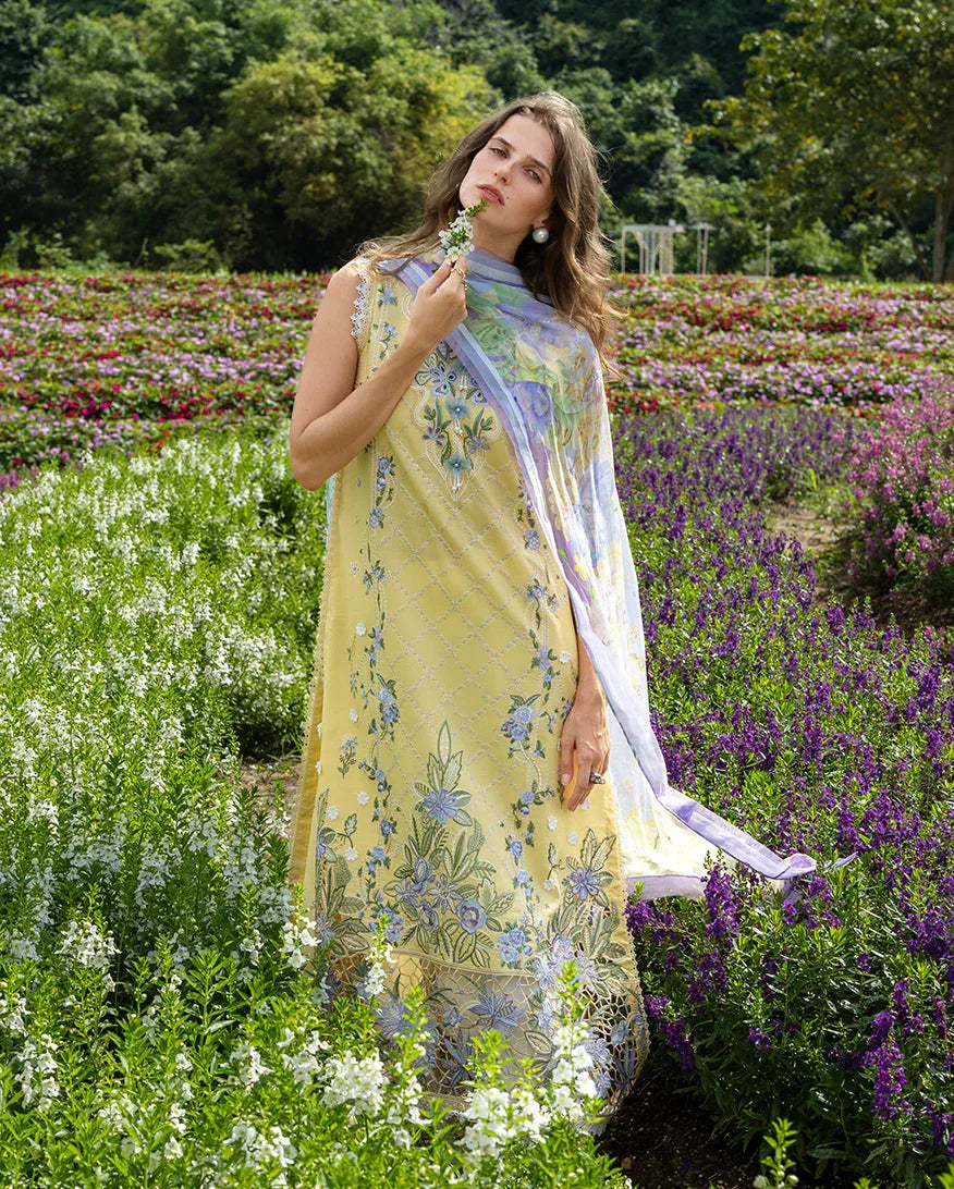 Sunlit Meadow - Rang-e-Khaas