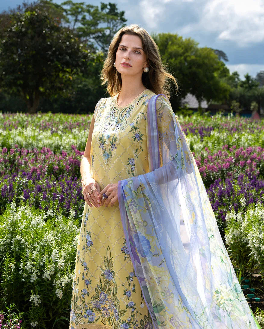 Sunlit Meadow - Rang-e-Khaas