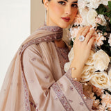 Alizeh | Luxury Raw Silk | AF-RS-08-TAFFY