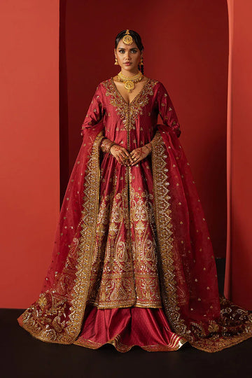 Afrozeh | Divani Silk 25 | Bahaar - Rang-e-Khaas