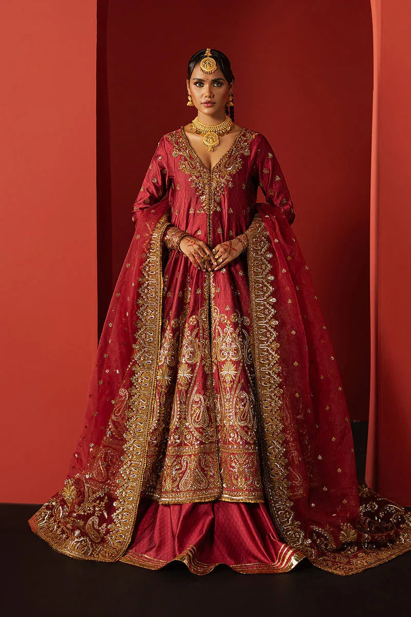 Afrozeh | Divani Silk 25 | Bahaar - Rang-e-Khaas